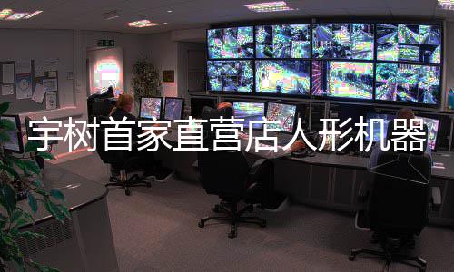 店人形机直营0万 高管首家超1宇树价格价格器人亲民