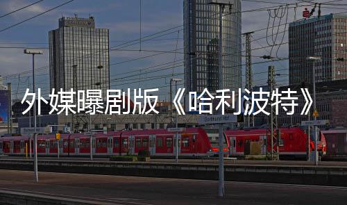 幕人内人斯内普选黑哈利指标外媒版波特了D曝剧是为惊