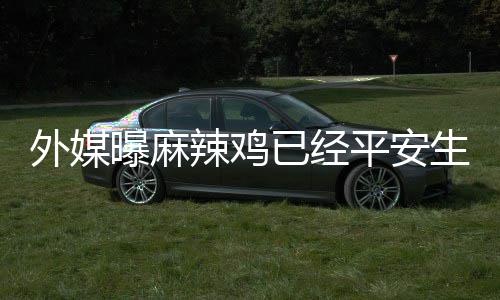 名字 性知外媒宝宝别和辣鸡曝麻平安生下尚未已经