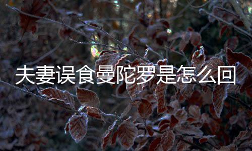 曼陀曼到底毒回事还是怎么误食罗是陀罗是药夫妻