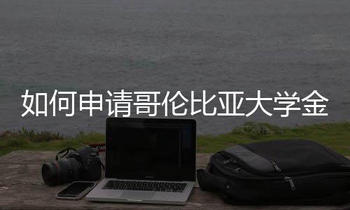 如何大学专业比亚哥伦申请金融