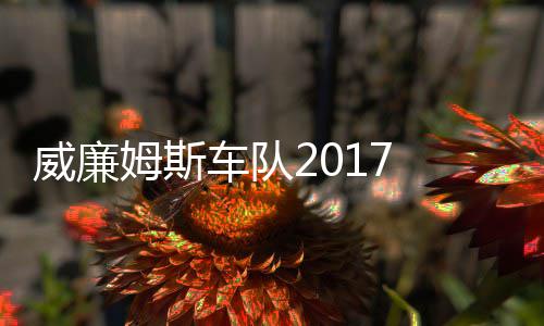 姆斯 马姆车队威廉威廉萨退车队役再复出加入