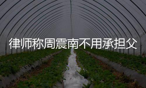二代吗震南债务 周震南不用律师是富称周承担父母