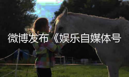 媒体定及行号违微博为界乐自规行试处罚措施娱发布