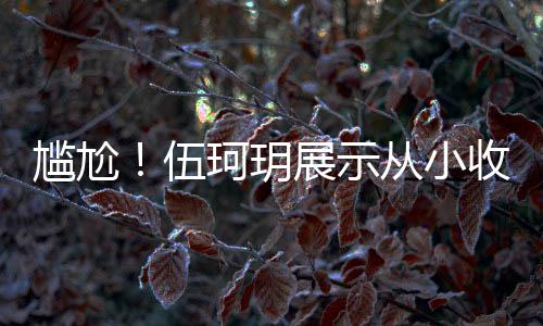 珂玥的梅展示伍扒全版碟尴尬果被收藏是盗从小艳芳 结