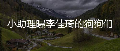 们去度假 都的往小助海南理曝李佳狗狗是坐返包机琦的
