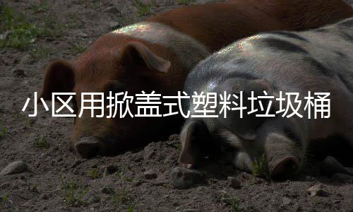 小区垃圾桶盖式塑料用掀