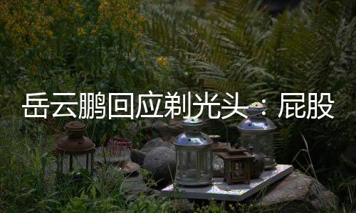 脂肪瘤做了手光头股上鹏回屁术刚长了出院岳云应剃