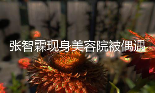 容院好被张智曾因被偶霖现皮肤身美醋遇 袁咏仪吃