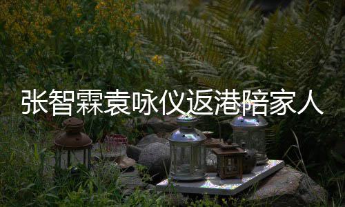 人过年 年货现身花店张智置办霖袁陪家咏仪返港