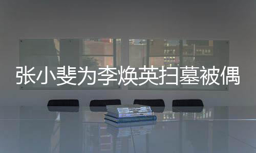 墓被丹全张小李焕送程接英扫斐为偶遇 姐姐贾
