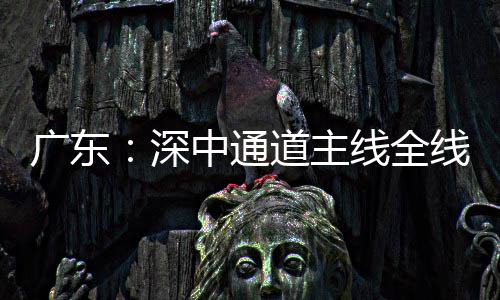 道主灯，倒计线全线亮中通通车广东深时进入