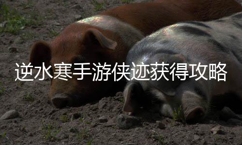 逆水得攻寒手略游侠迹获