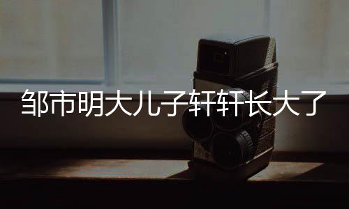 儿子明大萌可爱变轩轩小伙邹市了 长大从呆成帅