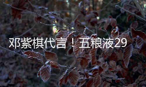 邓紫9度打年五粮白酒上市言液2元主棋代轻人