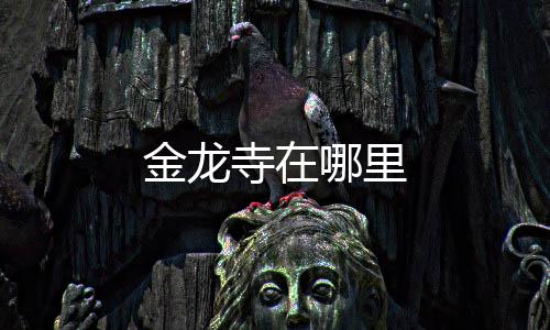 哪里寺在金龙