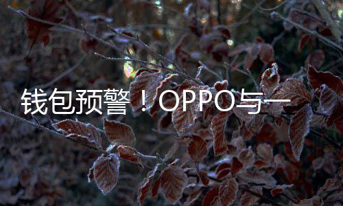 日起涨价部分官宣手机预警O与一加3月钱包