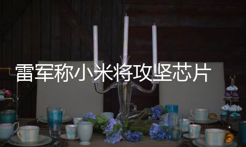 米将等底芯片系统心技雷军攻坚术称小操作层核