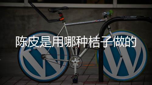 哪种做的是用陈皮桔子