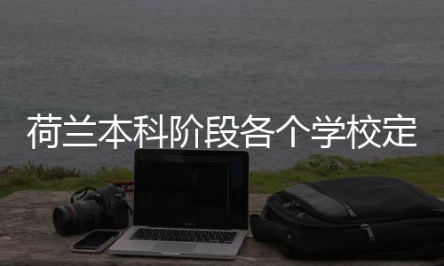 定额学校荷兰汇总招生本科各个阶段