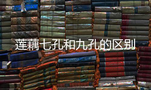 孔的和九莲藕七孔区别