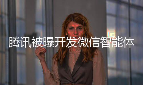 开发狠智能这打微信 网被曝连小腾讯体 程序友将直击太