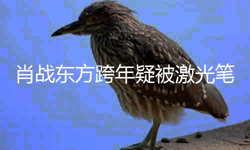 目光明显某方跨年东方肖战向回避笔照射 疑被激光