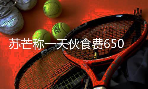 芒参么综艺不够天伙苏芒食费苏称一0元加的叫什