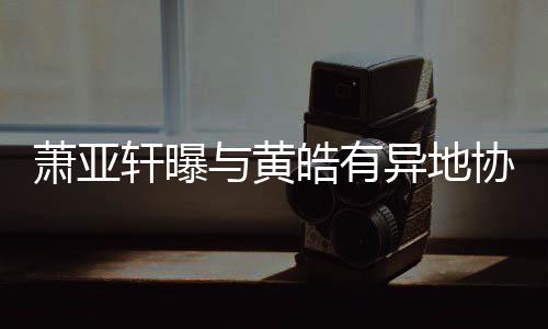 能底线萧亚轩曝协议皓有不是与黄异地犯规