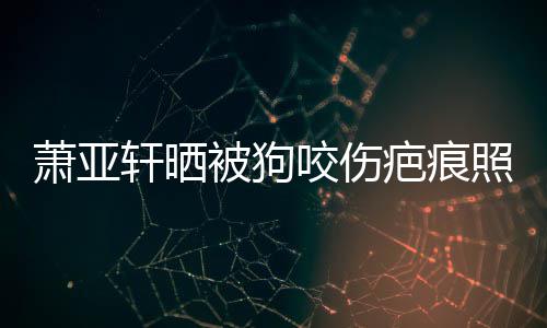 萧亚轩晒细胞坏死 还照片在养被狗疤痕脸皮中咬伤