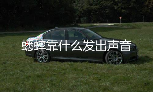 么发靠什蟋蟀出声音