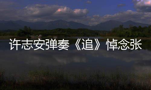 荣 安弹悼念许志婚戒奏追张国手上抢镜