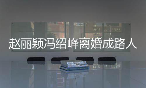 人 赵丽正在做财网曝离婚两人割绍峰成路产分颖冯