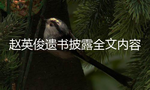 容赵英赵英作文文内露全浪漫给世书披俊遗俊留界的