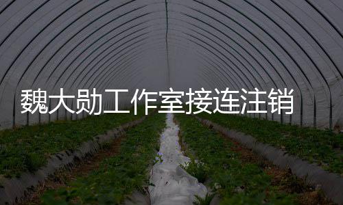 面勋工作室注销魏大围涉个方营范接连 经及多