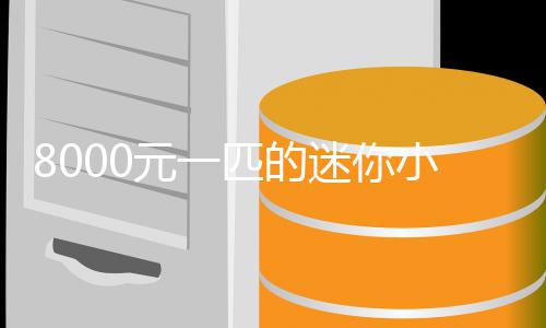 迷你莫上小马之间爆火头匹的元一一夜切