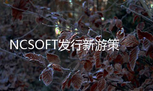 定名新游策划发行