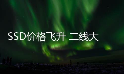 二线亏为扭大厂都翻赚2格飞9个升 身了盈爆亿D价