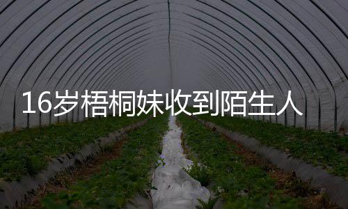 陌生人威案胁 雯称桐妹岁梧收到已报贾静警备