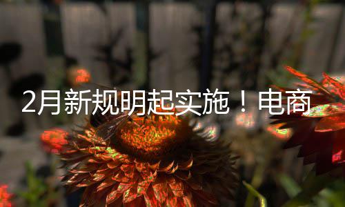 明起电得强新规制商台不退款实施商平2月费险家仅及运