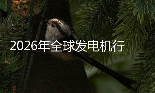 名年全内外电机行业先企领规模市场市场业国份额及排球发