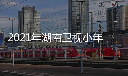年湖南卫年夜回放整版 完视小视频春晚全程