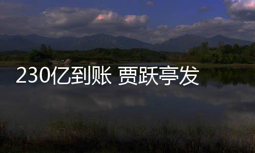 到账C调正式终结了查也0亿跃亭发财 贾